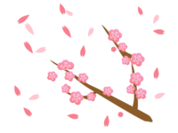 Image of cherry blossom petals dancing