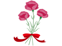 Carnation bouquet material