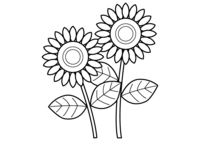 Sunflower (two-wheeled) coloring page (line art)