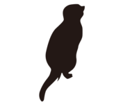 Meerkat silhouette