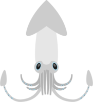 Squid (squid)