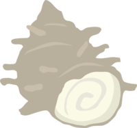 贝海螺