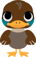Cute duck (duck)