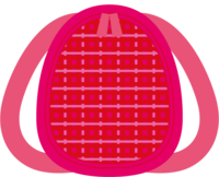 粉红色背包