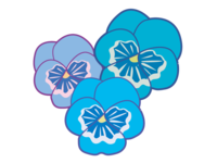 三輪の青いパンジーの花