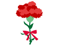 红色康乃馨花束