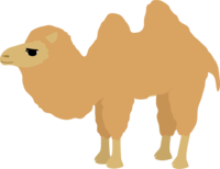 双瘤骆驼
