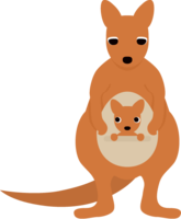 Parent and child kangaroo