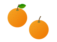 オレンジ-果物