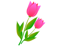 Two-wheeled pink tulip