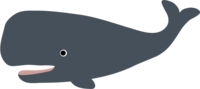鲸鱼(抹香鲸)