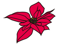 赤いポインセチアの花びら