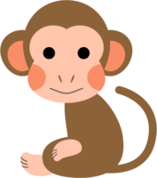Cute monkey