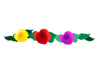 Three-colored rose