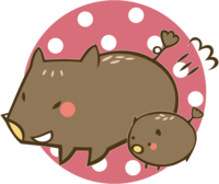 Cute wild boar-Boar