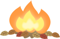 Bonfire-flame and fallen leaves