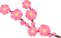枝付きの桃の花