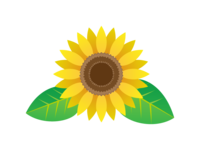 Sunflower material