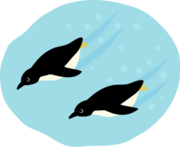 Swimming penguins