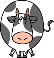 Cute cow