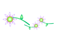 紫と緑色の小花