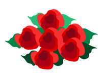 Many red roses