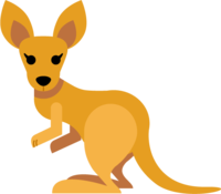 Cute kangaroo