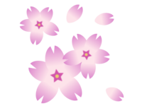 桜の花びら-春