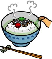 Pour hot water into Ochazuke