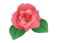 Rose material
