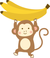 Monkey holding a banana in both hands
