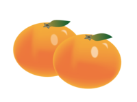 Mandarin orange-fruit