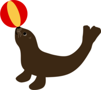 Sea lion performing with a ball