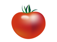 Tomato-Vegetables