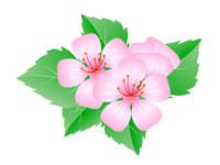 Pink florets