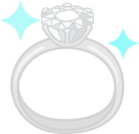 钻石戒指(亮片切割)