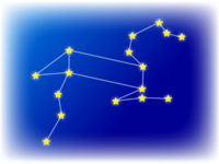12 constellations-Leo