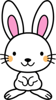 Cute rabbit