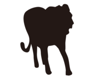 Lion silhouette