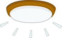 Ceiling light