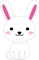 Cute white rabbit