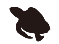 ウミガメのシルエット
