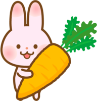 Rabbit with a big carrot