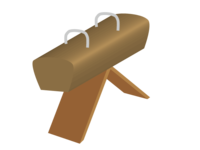 Pommel horse material