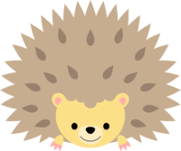 Hedgehog
