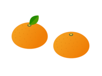 Mandarin orange-fruit
