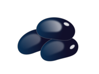 Black bean material