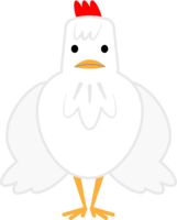 正面を向いているニワトリ