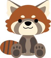かわいいレッサーパンダ