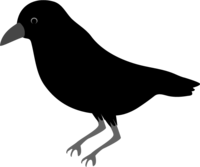 Crow